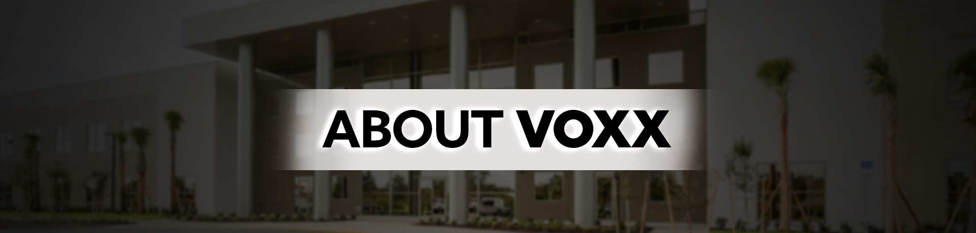 About VOXX