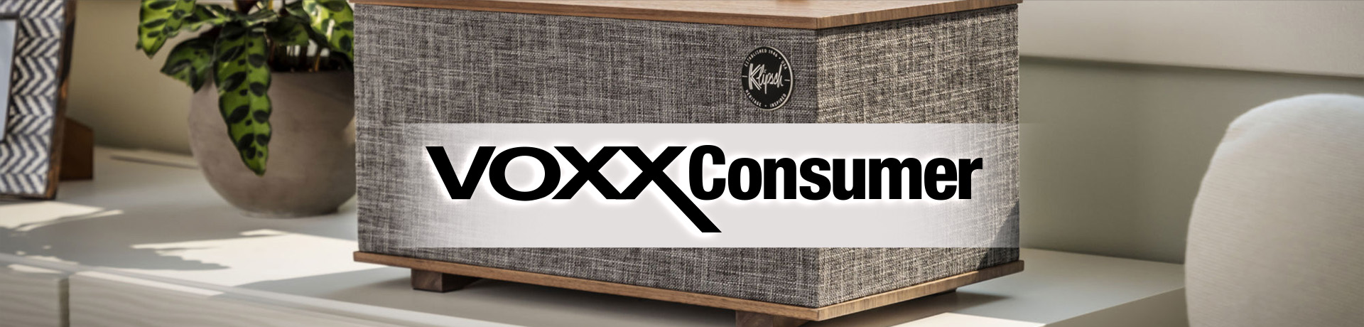 VOXX Consumer