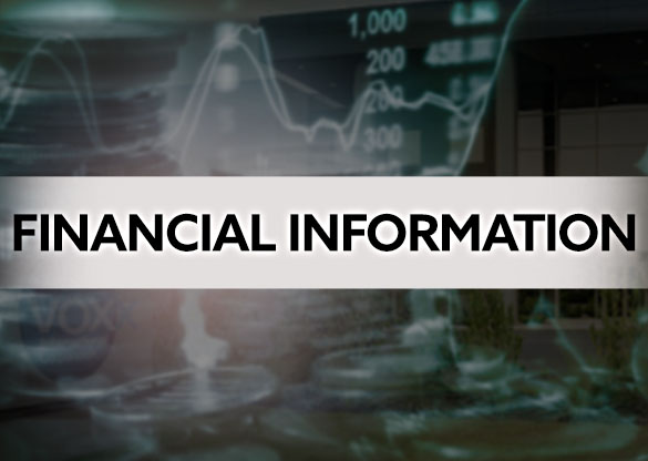 Financial Information